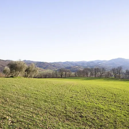 Near Donatello Sculpture * Citerna