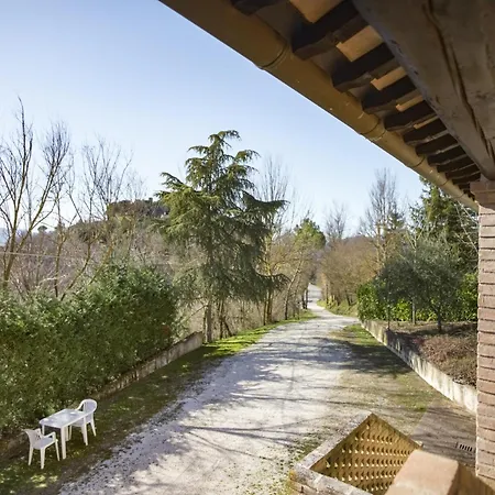 Near Donatello Sculpture Citerna