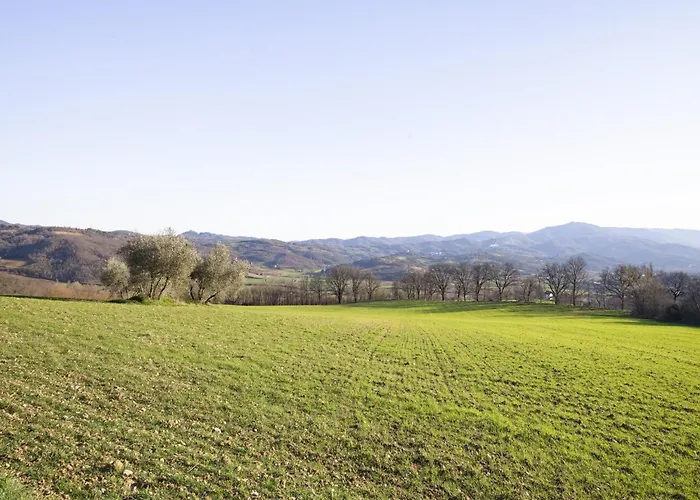 Near Donatello Sculpture * Citerna