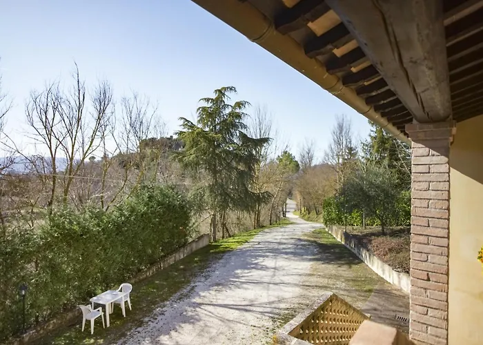 Near Donatello Sculpture Citerna